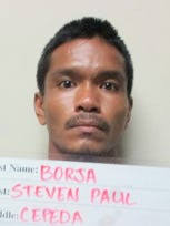 Man to be sentenced for dog abuse