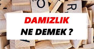 Damizlik Ne Demek Damizlik Tdk Sozluk Anlami Tdk Anlami Haberleri