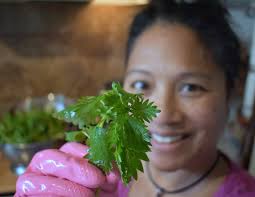 Stinging Nettle and Lamb Börek #SundayFunday