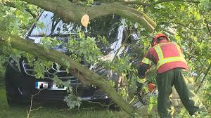 Jazmen.jafar erome i appreciated the experience with her,