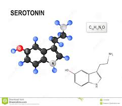 Fórmula Química E Modelo Estruturais Da Molécula Da Serotonina Ilustração  do Vetor - Ilustração de química, estruturais: 116448381