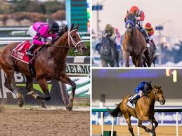 May 31, 2021 · twitter has to comply with new it rules for digital media, says delhi hc while twitter claimed before the court that it has complied with the rules and appointed a resident grievance officer, the. Tokyo Olympics Equestrian Fouaad Mirza Has Given Up On Social Media Prior To Olympics Calls It Small Sacrifice With Big Returns The Economic Times