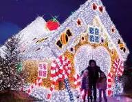 LED Outdoor 3D House Motif Lights for Christmas Decoration ...