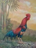 Katuranggan terbagi atas dua jenis, yaitu katuranggan baik dan katuranggan buruk. Ayam Suro Bantalan Mayit Cara Golden