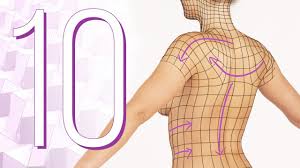 Atlas of anatomy of the human body: Cgc Classic Female Character Modeling Pt 10 Torso And Chest Topology Blender 2 6 Youtube