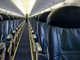 Check spelling or type a new query. Great Dane Airlines Because Time Flies