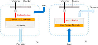 The links below lead to more detailed listings and eventually to acrobat format (pdf) files containing the papers and many of the slides from the oral. Pairing Electrochemical Impedance Spectroscopy With Conducting Membranes For The In Situ Characterization Of Membrane Fouling Sciencedirect