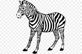We did not find results for: Zebra Cartoon