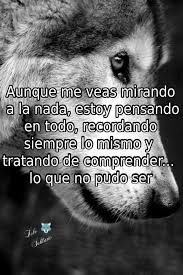 Lo Que No Puede Ser Frases Motivadoras Frases De Lobos Frases De Sabiduria