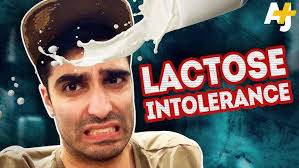 Why most adults are lactose intolerant