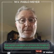Conocé los temas que vamos a abordar en el curso de CIRUGÍA en pequeños  animales para el veterinario práctico 🐶🐈🐶 a cargo del M.V. Pablo Meyer,  especialista en Cirugía., Si querés saber más sobre el ...
