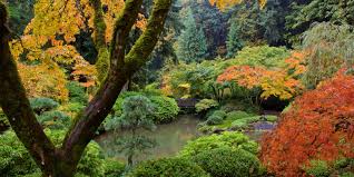 Strolling Pond Garden Portland Japanese Garden Portland Japanese Garden Japanese Garden Japan Garden