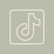 Tiktok Aesthetic Icon Screen Icon Icon Aesthetic