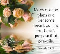 Proverbs 19:21 There are many devices in a man's heart ...