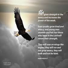 They Will Soar On Wings Like Eagles By John Tarr Photography Visual Adventurer In 2021 Wings Like Eagles Eagles Christian Quotes Inspirational