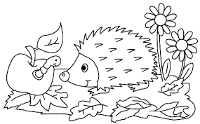Kunterbunter Malspass Ausmalbilder Igel Ausmalbild Ausmalen