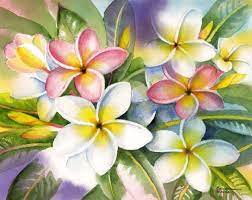 Colorful Plumeria Flower Painting Flower Art Watercolor Flowers