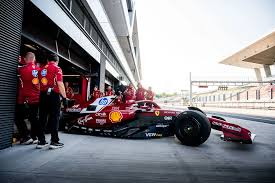 Militante veganerin elktube she has an amazing curvy body