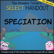 If a population has different find an answer to your question amoeba sisters video recap: Amoeba Sisters Natural Selection Worksheets Teaching Resources Tpt