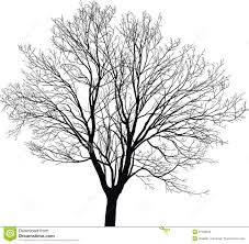 Black And White Tree Drawing Black And White Drawings Of Trees Google Search With Images Oak Tree Drawings Tree Drawing White Oak Tree