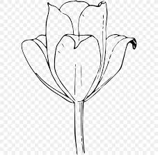 Check out our flower heart drawing selection for the very best in unique or custom, handmade pieces from our shops. Tulip Drawing Flower Clip Art Png 600x800px Watercolor Cartoon Flower Frame Heart Download Free