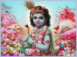 krishna wallpapers top free krishna backgrounds wallpaperaccess krishna wallpapers top free krishna