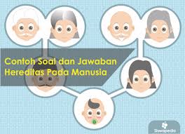 Check spelling or type a new query. Contoh Soal Dan Jawaban Hereditas Manusia Siswapedia