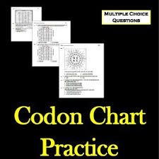 codon chart practice transcription translation teaching