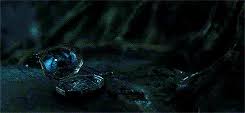 Check spelling or type a new query. Destruction Of Salazar Slytherin S Locket Harry Potter Wiki Fandom