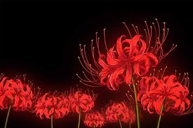 Demon Slayer In 2020 Tokyo Ghoul Flower Lilies Drawing Red Spider Lily