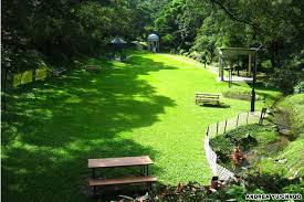 5 Last Minute Valentine S Dates In Hong Kong Hong Kong Tourist Attractions Hong Kong Hong Kong Tourist