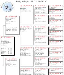 Excel kalender 2021 download chip : Update Compustam V8 To Compustam V9 Release 2021