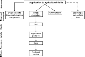 The same goes for bird droppings on or in buildings. Refined Avian Risk Assessment For Chlorpyrifos In The United States Springerlink