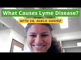 What Causes Lyme Disease? Interview with Entomologist Dr. Adela Oliva Chavez
