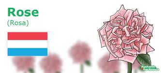 From wikimedia commons, the free media repository. European National Flowers Complete List