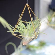 The invention as well as the exact date of origin. Carambol Home Facebook