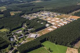 Le centre a accueilli près de 11.000 personnes et 84 nationalités différentes depuis son ouverture. La Reconversion De L Ex Base De Gouvy Est Un Succes Total