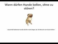 Wenn dein hund am tag gelegentlich bellt, ist das von den anderen mietern als normale geräuschkulisse im haus hinzunehmen, ob es ihnen passt oder nicht. Video Hundegebell So Gehen Sie Gegen Die Ruhestorung Vor