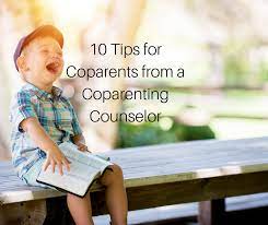 You can receive an order of protection in this type of action as well. 10 Tips For Coparents From A Coparenting Counselor Sparrow Counseling