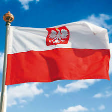 Laden sie dieses kostenlose foto zu flagge von polen und entdecken sie mehr als 9m professionelle stockfotos auf freepik. Polska Polen Polnische Flagge Polens Fussball 160x90 Cm Ebay