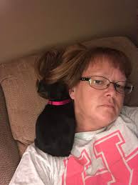 Adorable Dobermann facial expressions and owner experiences