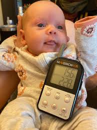 Weber grill recipes for Father's Day brats