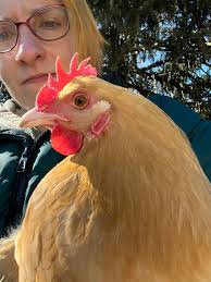 Does anyone have info