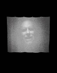 Vital Signs: New Media from the Permanent Collection