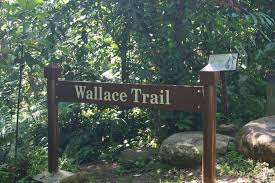 The trails in this 63 hectare environment are home to numerous species of butterflies, dragonflies, birds and plants including rare species like the little grebe. Parks Dairy Farm Nature Park Our Big Expat Adventure