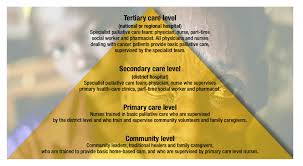 Association of hospice patients' income and care level with place of death. Network Of Palliative Care Teams Across The Levels Of Health Care Download Scientific Diagram