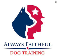 Maybe you would like to learn more about one of these? Always Faithful Dog Training Chicago