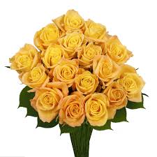 We offer a wide variety of fresh flower arrangements featuring daisies, tulips, lilies, and other bright and endearing flowers. Cheap Valentines Day Roses Globalrose