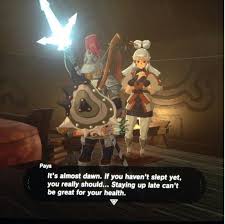 Paya From Zelda Breath Of The Wild Legend Of Zelda Zelda Art Breath Of The Wild