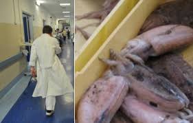 Farciti, a fettine e poi fritti o anche per ottimi sughi di pesce. Follia In Corsia Lavava Le Seppie Nel Lavandino Dell Ospedale Medico Licenziato Dagospia